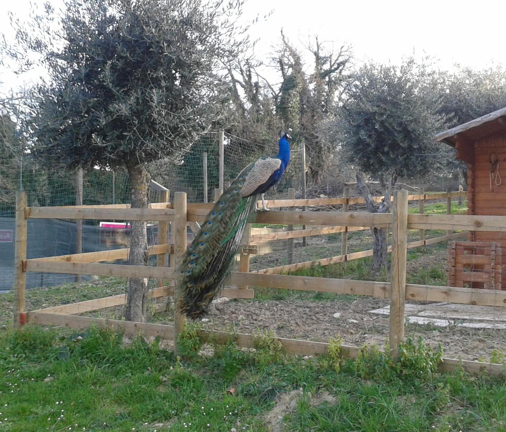 Garden Village San Marino Luaran gambar